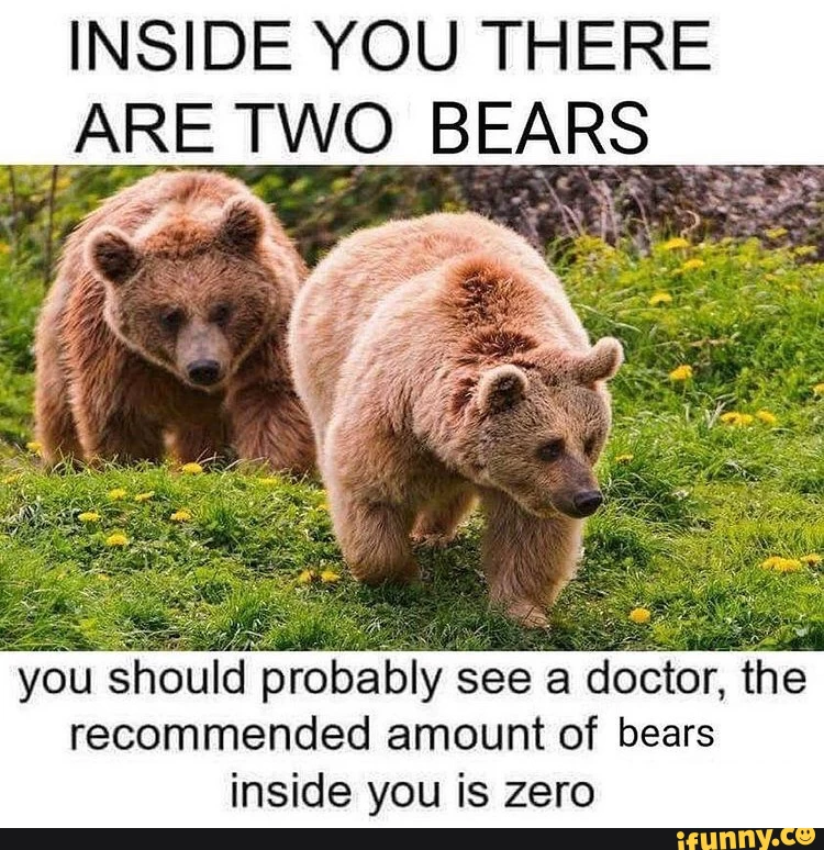 Bears