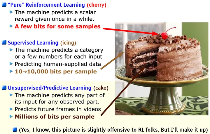 Yann LeCun cake slide