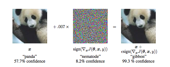 Adversarial Perturbation